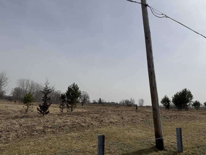 Pierce Municipal Park Golf Course - March 15 2025 Photo